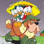 Donald Duck Weekblad - 2016 - 44